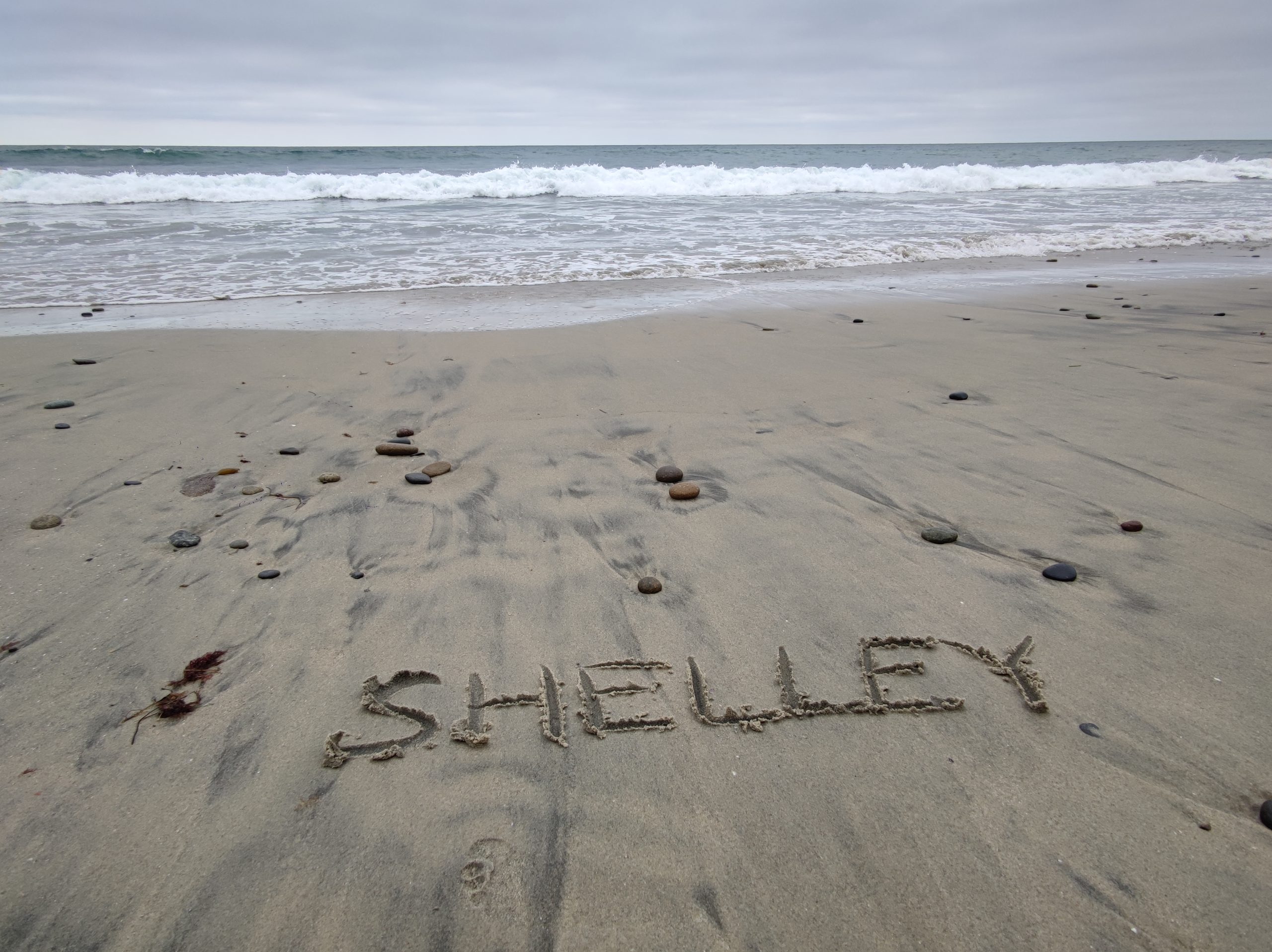 Beach at Torrey Pines State Natural Reserve